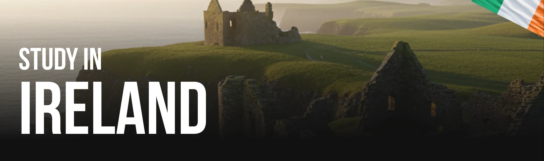 Study in Ireland