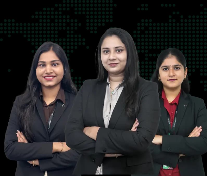 Immigration Consultants