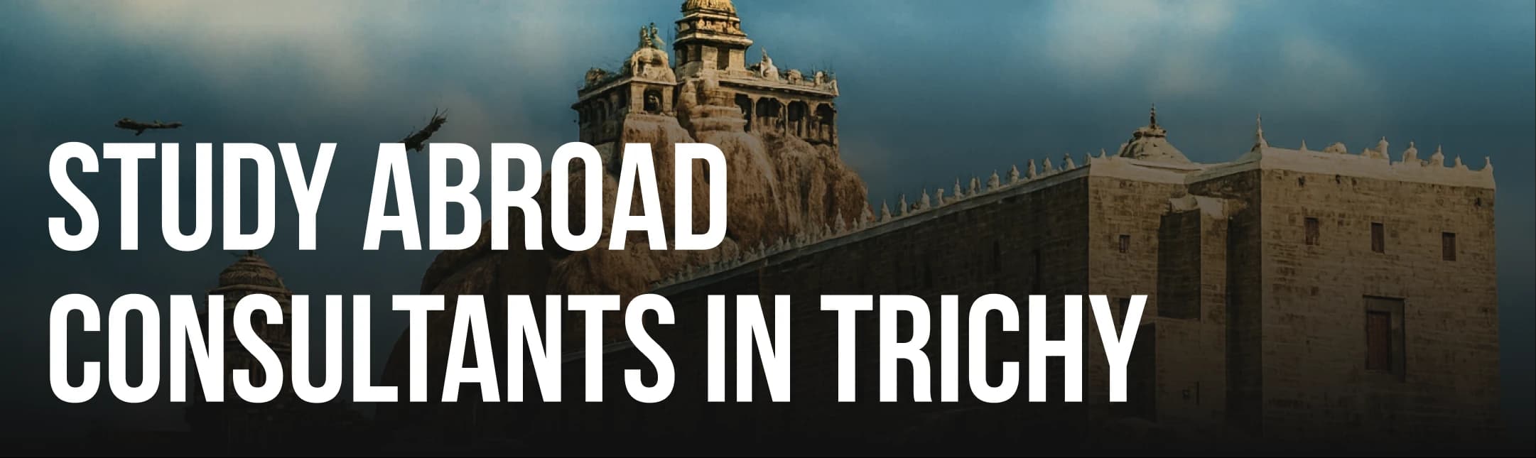 Study Abroad Consultants in Trichy